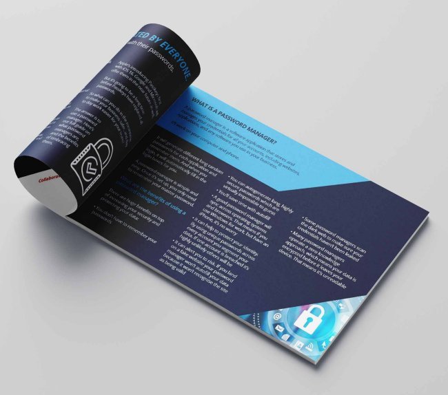 Password manager guide