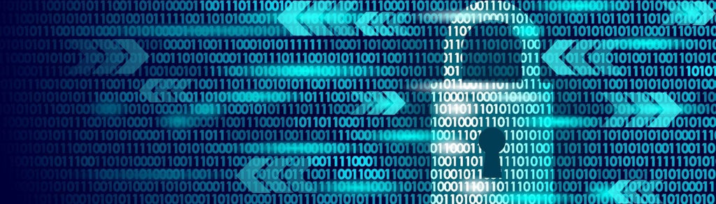 VPN vs. DNS filtering - PS Tech