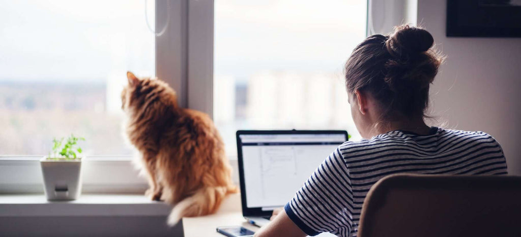 Working from home... Here to stay? - PS Tech